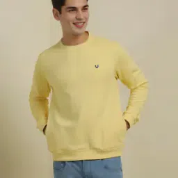 allen solly Men Regular Fit Crew-Neck Sweatshirt-picture-39