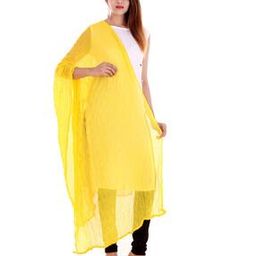 Dupatta with Textured Detail-picture-2