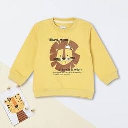 Boys Regular Fit Sweatshirt-picture-37
