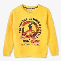 Boys Graphic Print Relaxed Fit Sweatshirt-picture-36