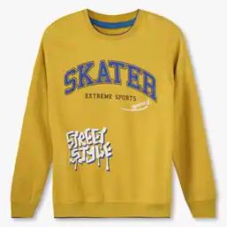 Boys Typographic Print Regular Fit Sweatshirt-36