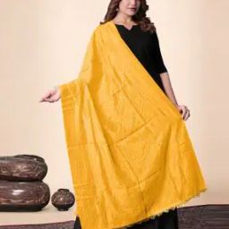 Women Embroidered Dupatta with Lace Hem-image-3