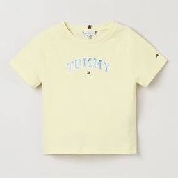 tommy hilfiger  Cotton Regular Fit Logo Round- Neck T-Shirt-picture-45