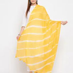 Striped Chiffon Dupatta-image-58