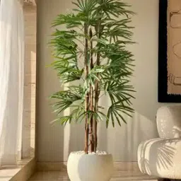 mason home Artificial Rhapis Palm Tree  -picture-8