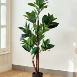 home centre Artificial Oak Tree with Pot-picture-23