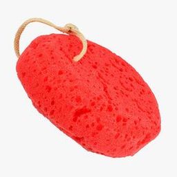 Sea Bath Sponge - (BA-3-15)-image-33