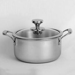 Platinum Triply Stainless Steel Casserole with Glass Lid-28