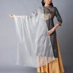 Women Dupatta with Lace Border-25