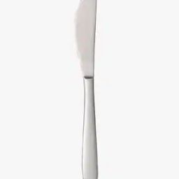 Stainless Steel Butter Spreader-33