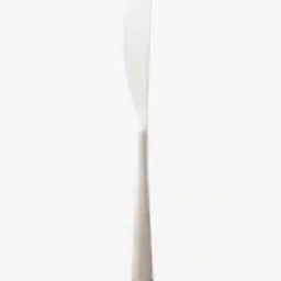 Stainless Steel Table Knife-12