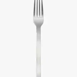 Stainless Steel Large Fork-50