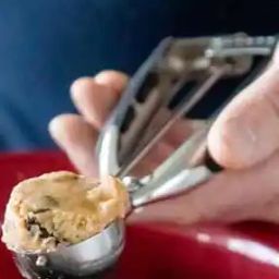 Stainless Steel Ice Cream Scoop with Trigger-30