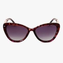 205605HKZ58XW UV Protected Cat-eye Sunglasses-image-98