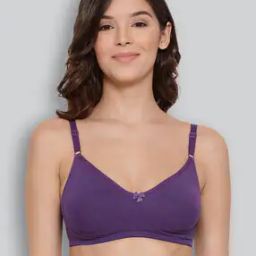 Combed Cotton Seamless Moulded Encircled Bra-image-12