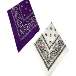 Men Paisley Bandana-picture-21