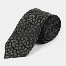 Men Thunder Paisley Woven Tie-image-38