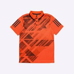Printed Polo T-shirt with Contrast Stripe Panels-picture-27