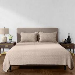 Printed King Size Bedsheet with Pillow Covers-image-83