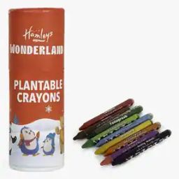 Set of 9 Plantable Crayons-41