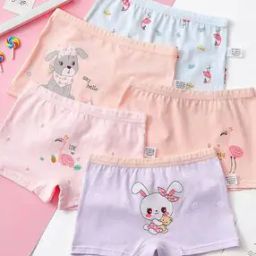 samvar Pack of 5 Cotton Bloomers Briefs-picture-1