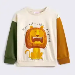 hopscotch Boys Loose Fit Round-Neck Sweatshirt  -picture-32