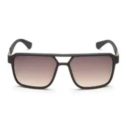 Unisex UV-Protected Navigator Sunglasses-SFI194K588GMSG-image-53