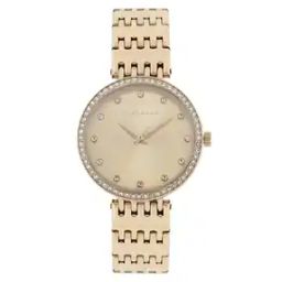Women Water-Resistant Analogue Watch-A2045-44-image-65