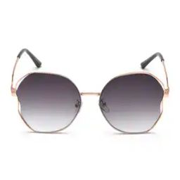 Women Full-Rim UV-Protected Butterfly Sunglasses- IRS1145C1SG-image-35
