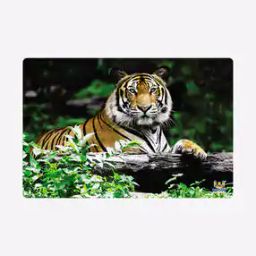 Indian Bengal Tiger Puzzle - 252 Pcs-14