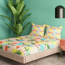 164 TC Super King-Size Bedsheet with Pillow Covers-image-20