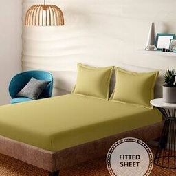 250 TC King Size Fitted Sheet with 2 Pillow Covers-10