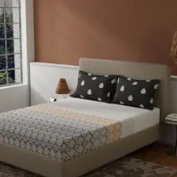 120 TC Printed Double Bedsheet with Pillow Covers-45