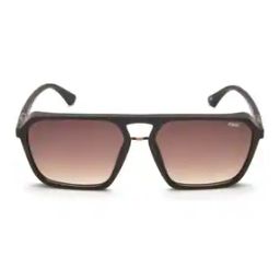 Men UV-Protected Wayfarers-IDS2971C2SG-image-76