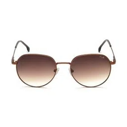 Men UV-Protected Round Sunglasses-IRS1175C3SG-picture-18