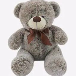Teddy Bear Soft Toy-20