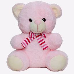 Wonder Teddy Bear-33
