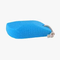Pumice Sponge - PD-17-picture-19