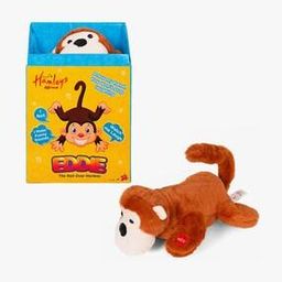 Interactive Eddie Roll Over Monkey Toy-14