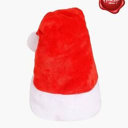 Premium Santa Cap-48
