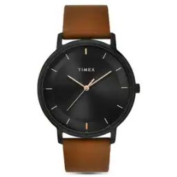 Men Water-Resistant Analogue Watch-TW0TG8016-image-83