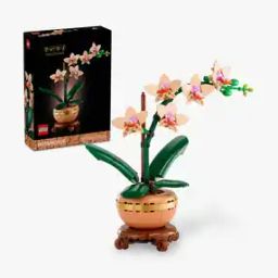 Botanicals Mini Orchid Plant 10343 Building Blocks-28