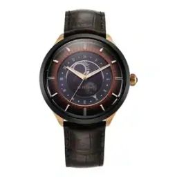 titan Men Stellar Luna Sun Moon Phase Analogue Watch - 10028KL02-picture-41
