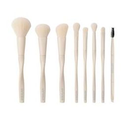 Pro Core Brush Kit-50