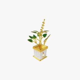 800 Silver Tulsi Plant-image-99
