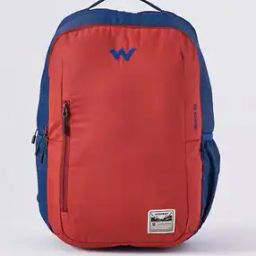 Men Colourblock Backpack with Adjustable Straps-9
