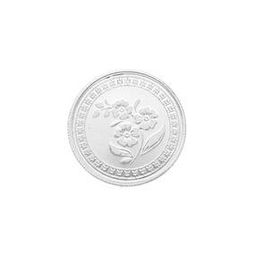 10 GM Silver Coin-image-76