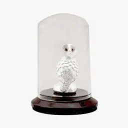 999 Silver Owl Idol-image-69