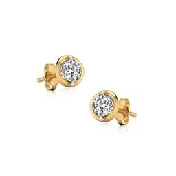 925 Sterling Silver Stone-Studded Earrings-10