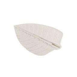 Pure Silver Banana Leaf Kadali Patra for Puja-image-8